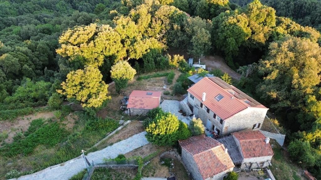 Chez Paulette - Meuble De Tourisme Classe 3 Etoiles Зонза Екстериор снимка