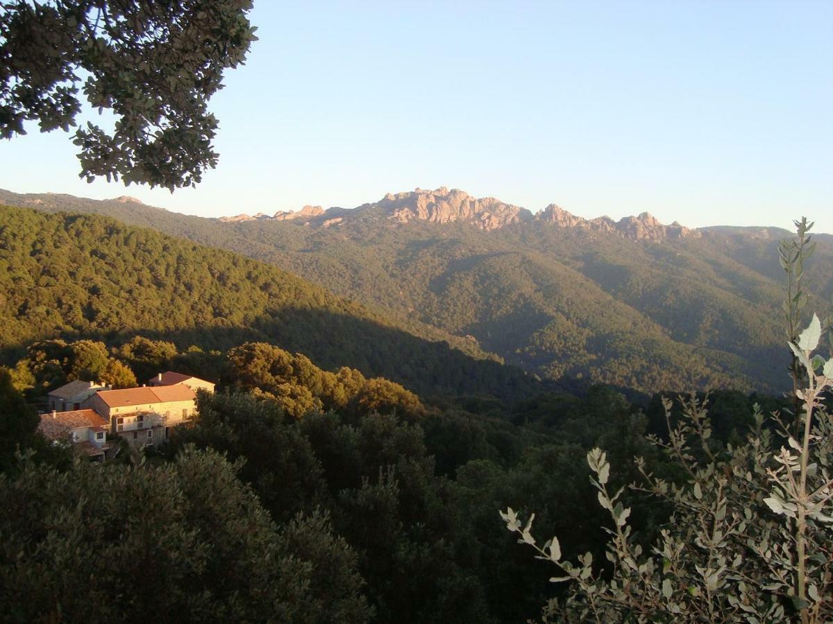 Chez Paulette - Meuble De Tourisme Classe 3 Etoiles Зонза Екстериор снимка